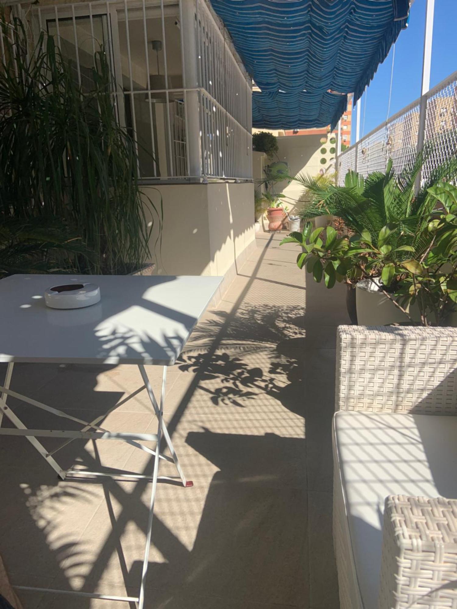 Jardin Cerca Del Centro * Siviglia